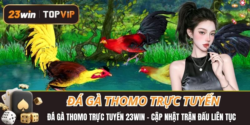 Đá gà thomo trực tuyến