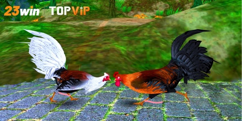 Danh sách các loại kèo cược đá gà Thomo trực tuyến phổ biến