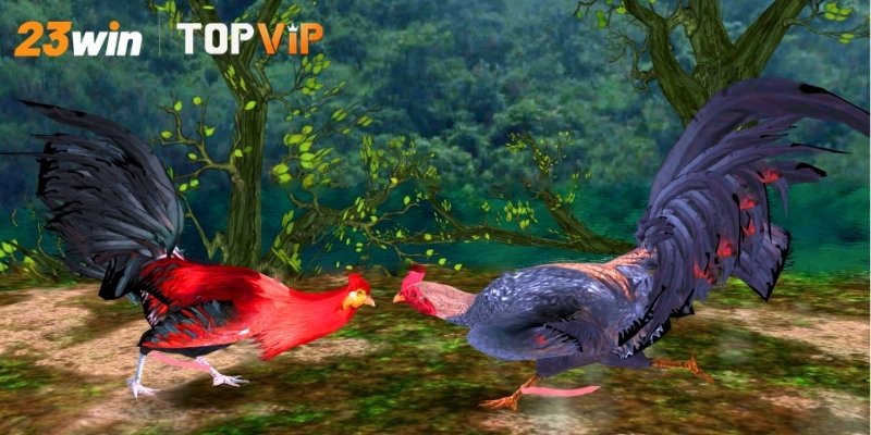 Tổng quan về đá gà Thomo trực tuyến hiện nay là gì