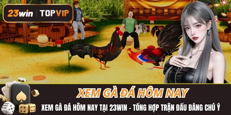 Xem gà đá hôm nay